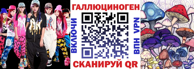 hydra tor  Амурск  Псилоцибиновые грибы Cubensis 