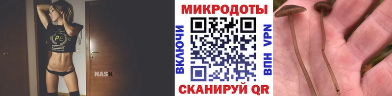 Галлюциногенные грибы Cubensis Амурск